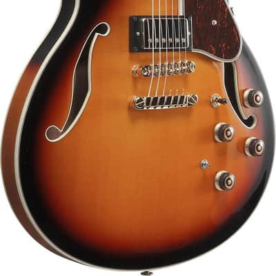 Ibanez AS113-BS Artstar AS Hollow Body Guitar 6-String - Brown Sunburst + Case image 14