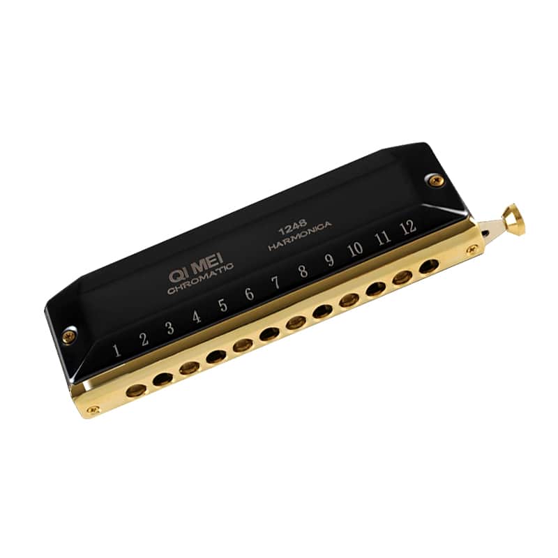 Chromatic Harmonica C Key 12 Hole 48 Tone Harp Harmonica French Harp Mouth Organ image 1