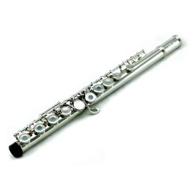 OPEN HOLE Nickel Flute w Hard image 4