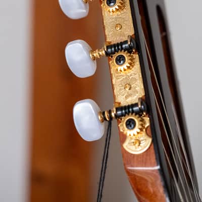 Francisco Castañeda 203 Classic Guitar image 3