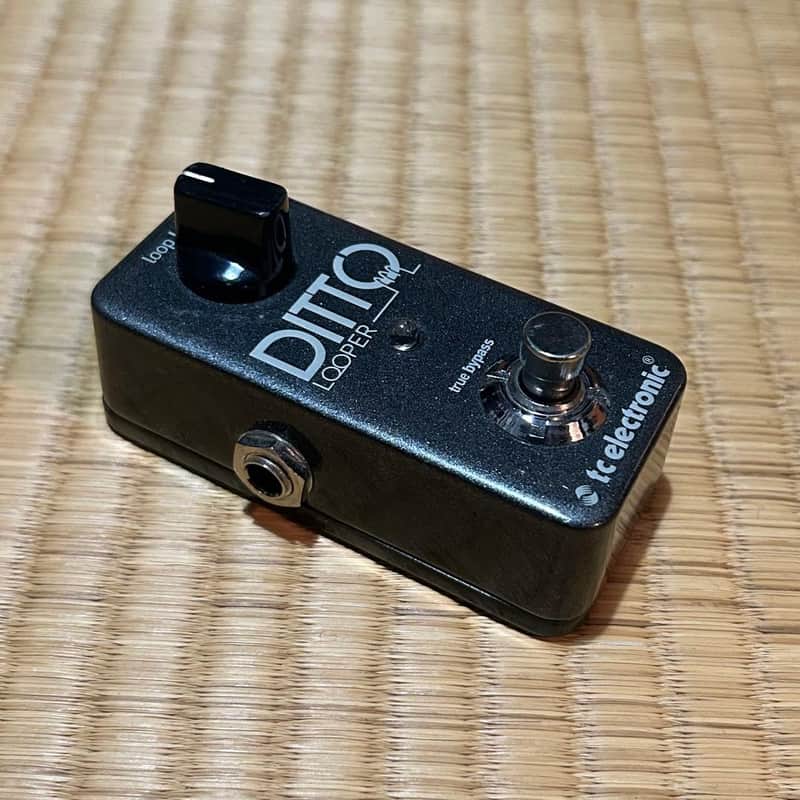 TC Electronic DITTO LOOPER