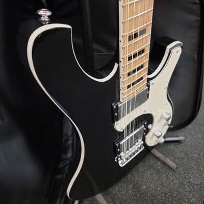 Slightly Used Schecter Stargazer 12 String Electric Guitar w/Bag image 7