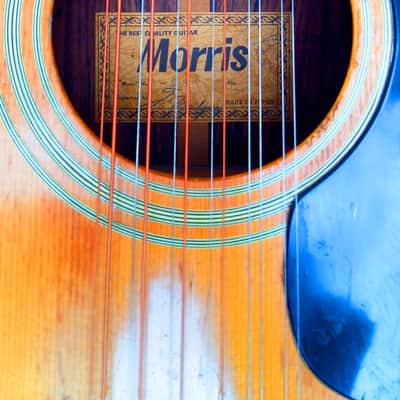 MORRIS B-28 12 strings dreadnought folk - Japan, 70's image 13