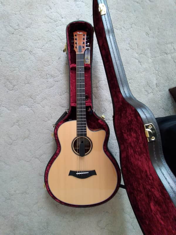 Taylor GT-8 Baritone 8-String Custom Built. image 1