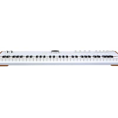 Arturia AstroLab 61-Key Stage Keyboard + Synthesizer (White) image 2
