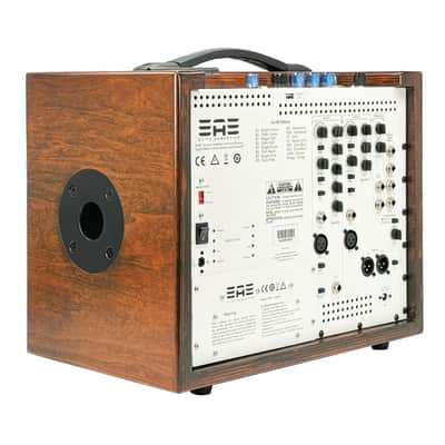 Elite Acoustics EAE A4-58 (Open Box) 120 W Acoustic Amp with Bluetooth and Lithium Battery - WOOD image 5