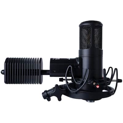 Golden Age Premier GA-8000 Microphone image 1
