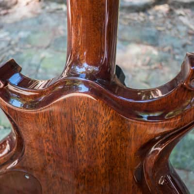 Scott Walker "Special" Guitar - 2011 - walnut & mahogany image 21