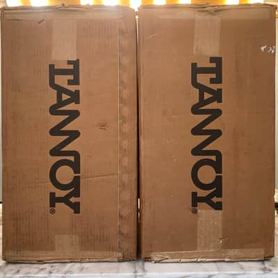 Tannoy System 12 DMT II 1990-1995 - Grey image 12