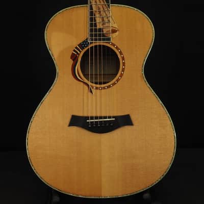 Taylor Liberty Tree 2002 - Tulip Poplar image 1