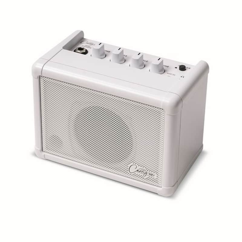 Carry On Co Speaker   Mini Speaker image 1