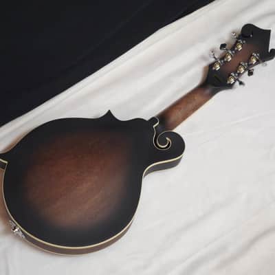 GOLD TONE F-6 F-style 6-string acoustic electric mandolin GUITAR w/ CASE new image 5