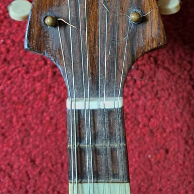 CATANIA SILVESTRI Sicilian concert mandolin with modern fretboard  1900s image 9