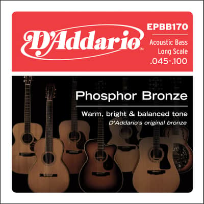 D'Addario EPBB170 Phosphor Bronze Acoustic Long Scale Bass Strings