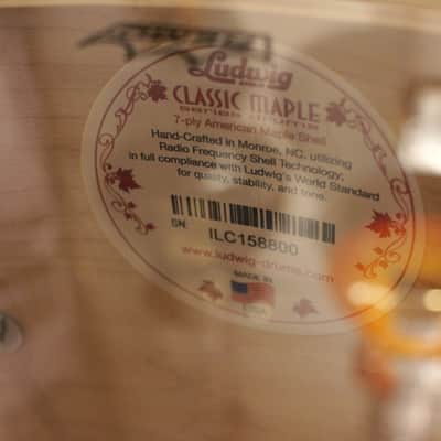 Ludwig LTD Classic Maple FAB 22 Pink Oyster image 8