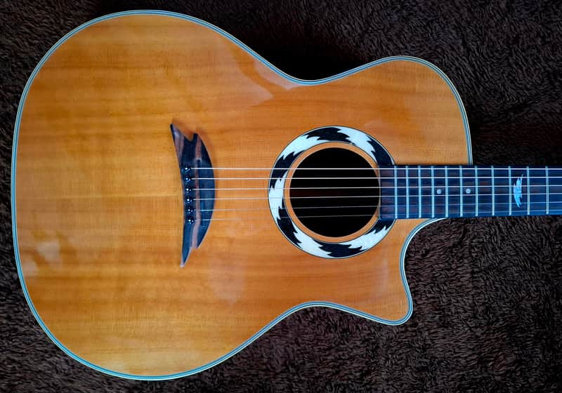 Hohner Striped Ebony Sides, Back & And Fretboard All Solid Woods Flat Top Acoustic Electric Dreadnought Steel String Guitar