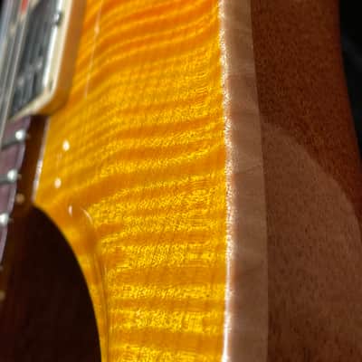 PRS Al Di Meola Signature Prism 2009 - 2014 - Prism image 25