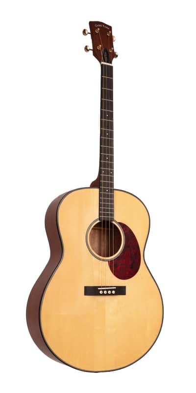 Gold Tone TG-18 Mastertone Tenor Guitar with Bag image 1