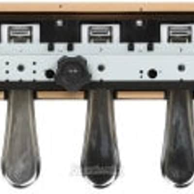 Kawai F-351 Triple Pedal Assembly for HML-2 Stand - Black (F351d1) image 7