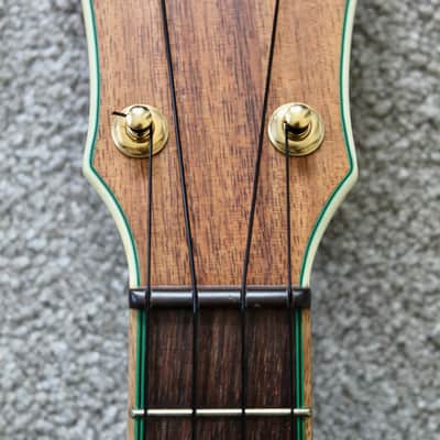 Brand New Maui Music Peter Lieberman 5A Koa Deluxe Concert Ukulele  image 14
