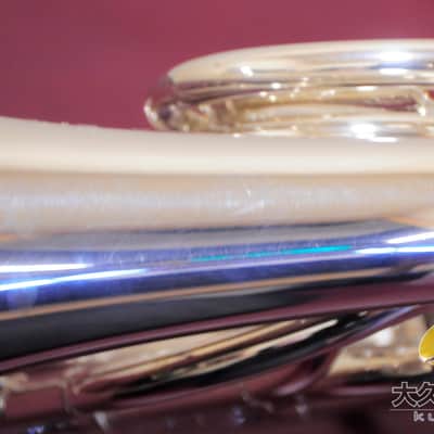YAMAHA YHR-87DBS 120th Anniversary Full Double Horn image 14