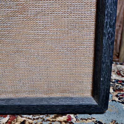 Danelectro DM-25 Vintage Tube Amp/Cab Combo w/ Reverb & Tremolo image 5