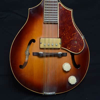 Vega D-100F 1940 electric mandolin image 2