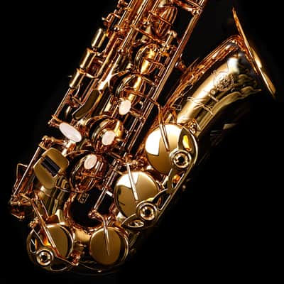 Selmer Paris 82SIGF HSP Professional Alto Saxophone, Vintage Matte image 12