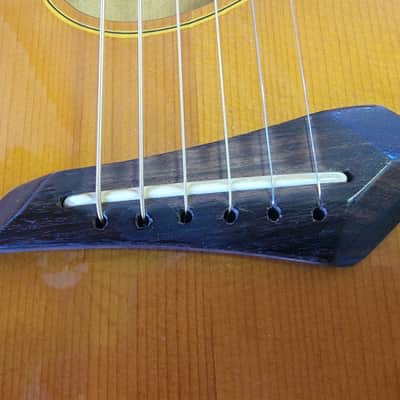 Fender Telecaster TLCC-150 Telecoustic Deluxe MIJ 1992 image 4