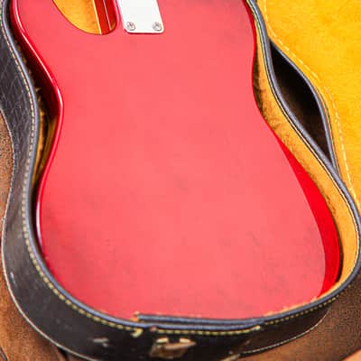 Ampeg Heavy Stud GEH 150 | Burgundy image 7