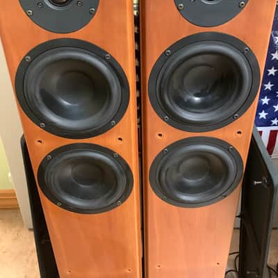 TANNOY REVOLUTION R2 1988-2007 Walnut image 2