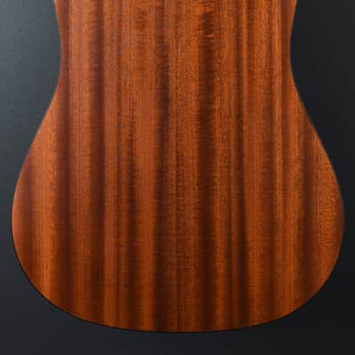 Eastman PCH1-D '25 image 4