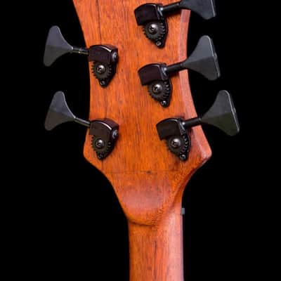 AB Luthier 5 String Pachyderm Style 2024 - Hand rubbed oil image 6