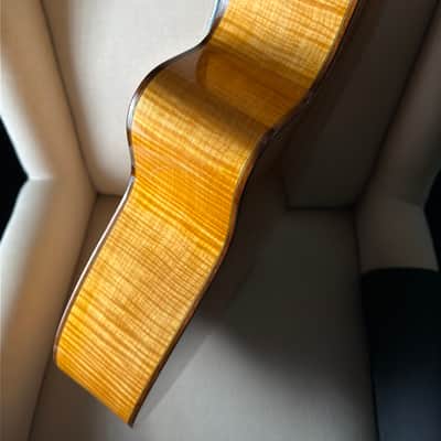 Kenny Hill 7 String Classical Cutaway Crossover Seven String image 9