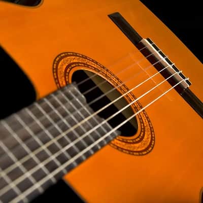 Washburn C5CE Classical Cutaway Spruce Top Mahogany Neck 6-String Acoustic-Electric Guitar image 8