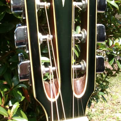 K.Yairi YW-800G B. Rosewood Jacaranda Japan Vintage Grammer Guitar Style 1979 image 6