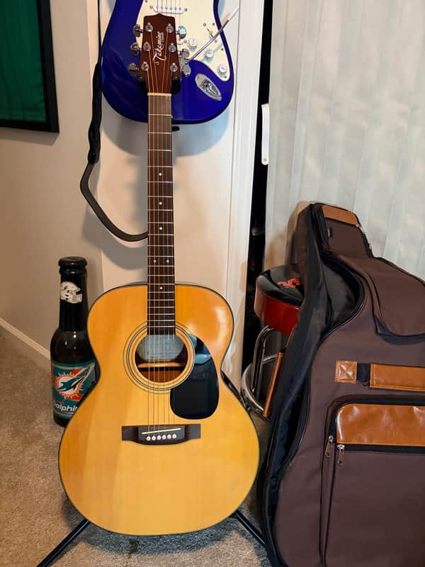 TAKAMINE EG-230 image 1