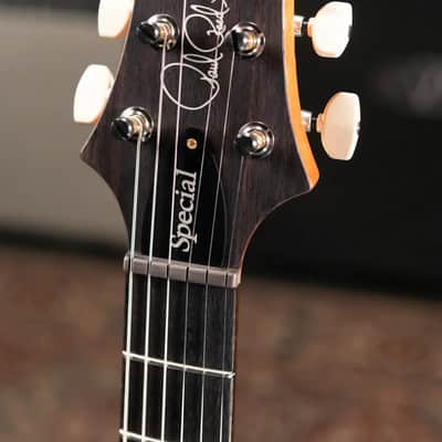 PRS Special Semi-Hollow 10-Top Electric Guitar - Aurora Borealis with Hardshell Case image 6