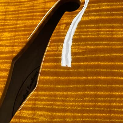 Hamer Custom Shop Newport Pro (2003) - Amber #52665 with Original Hard Case image 17