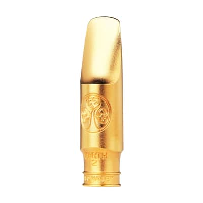 Theo Wanne ELEMENTS: EARTH 2 Gold 8 Alto Saxophone Mouthpiece image 1