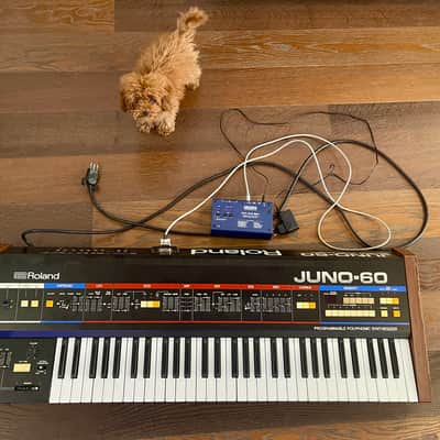 Roland Juno-60 61-Key Polyphonic Synthesizer 1982 - 1984 - Black image 1
