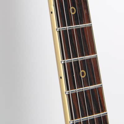 Washburn Falcon Model C 1982 - Walnut image 6