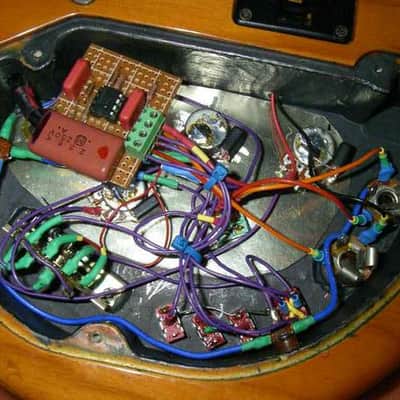 Jerry Garcia (Tiger) Unity Gain Buffer OBEL (handmade) image 8