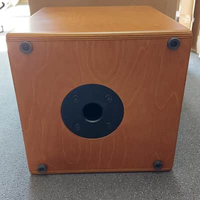 Acus One For Strings 6Twin 130-Watt Acoustic Combo Wood image 5