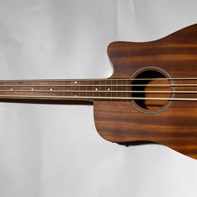 Gold Tone M-Bass23/FL Acoustic-Electric Fretless Bass Guitar image 1