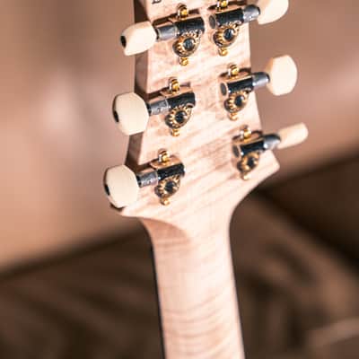 PRS Wood Library DGT 10 Top in Satin Purple Charcoal Wrap Burst image 7