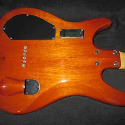 Brian Moore iM P13 - Natural W/ Roland GR20 Synth image 6
