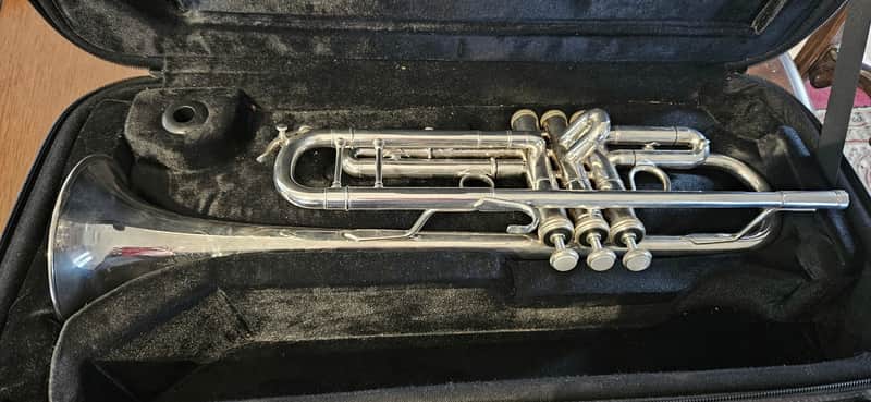 Shires Q10 2019 - Silver Plate - Immaculate image 1