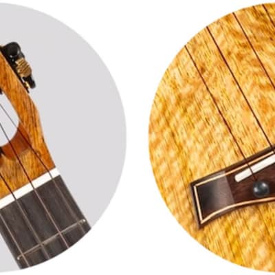 Flight SONGBIRD MANGO EQ-A Royal Series Solid Mango Top Mahogany Neck 4-String Tenor Acoustic-Electric Ukulele w/Gig Bag, Pickup & Humidifier image 16