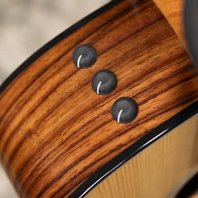 Taylor 210ce Plus Dreadnought Acoustic/Electric Guitar with Aerocase image 9